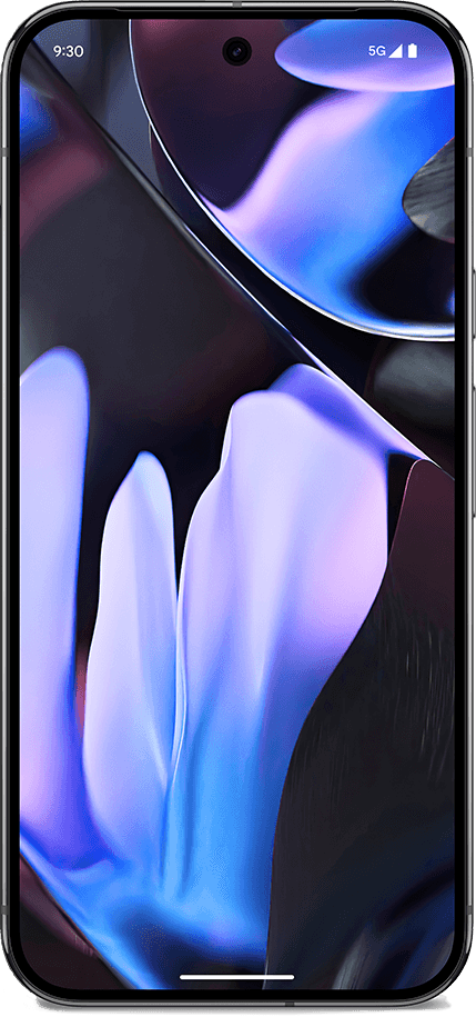 Google Pixel 9 Pro XL Obsidian