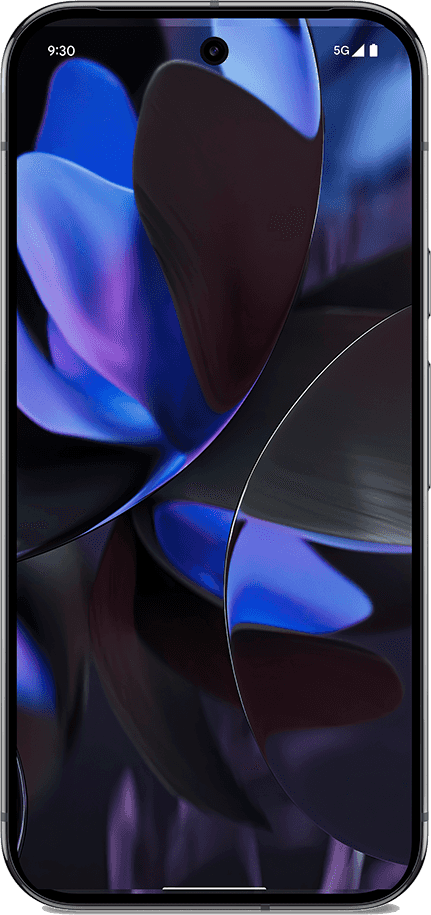 Google Pixel 9 Pro Obsidian